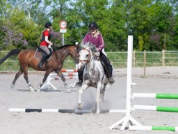 IMG_0470_web